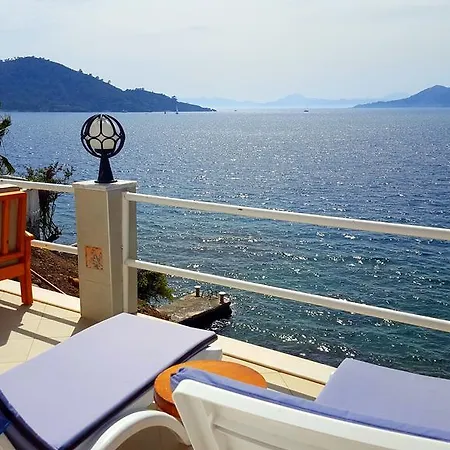 Dream *